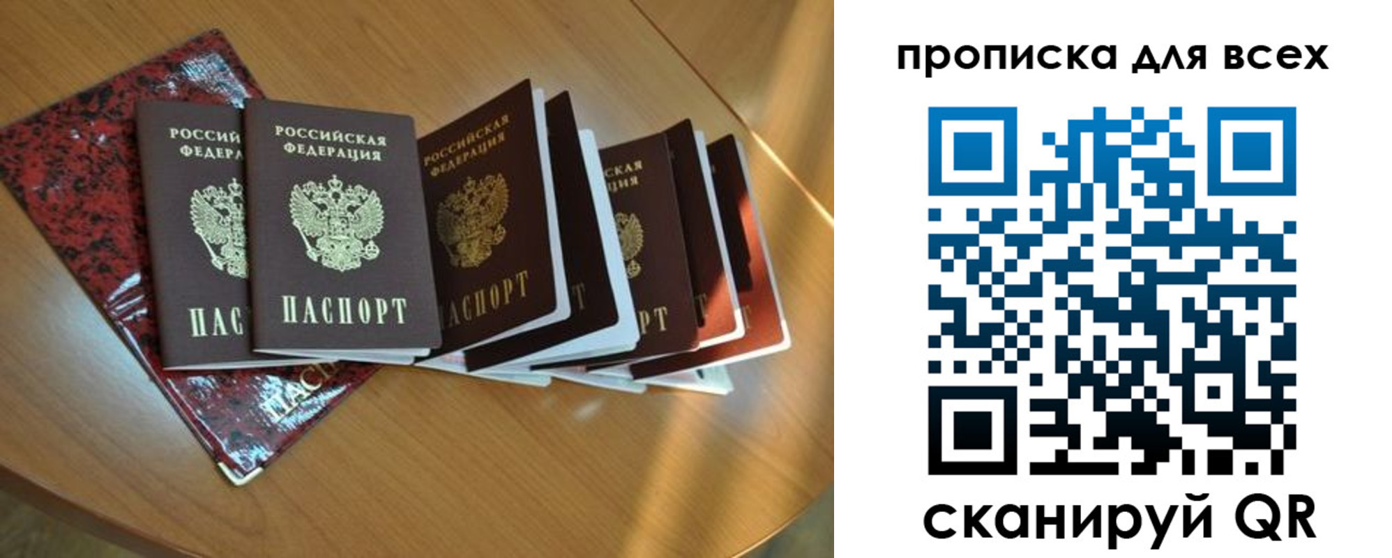 прописка для школы в Ельне